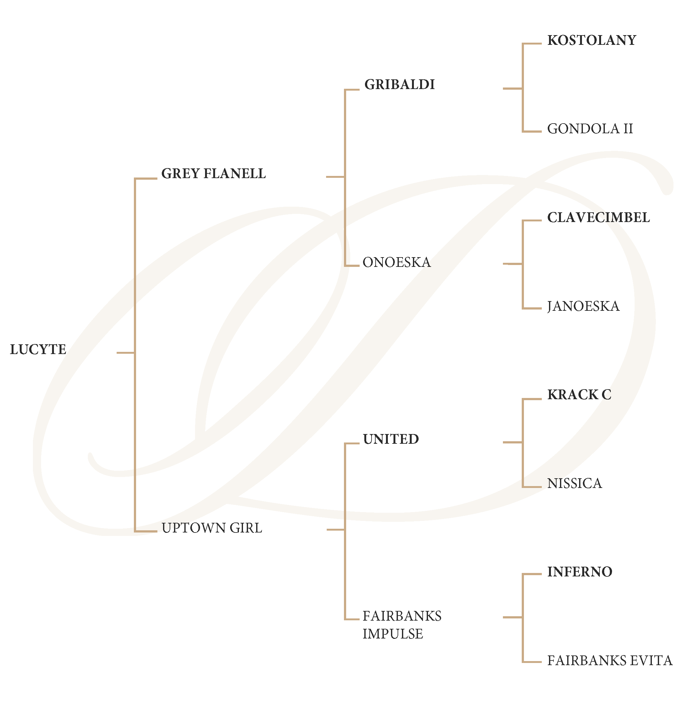 Starnberg Genealogy