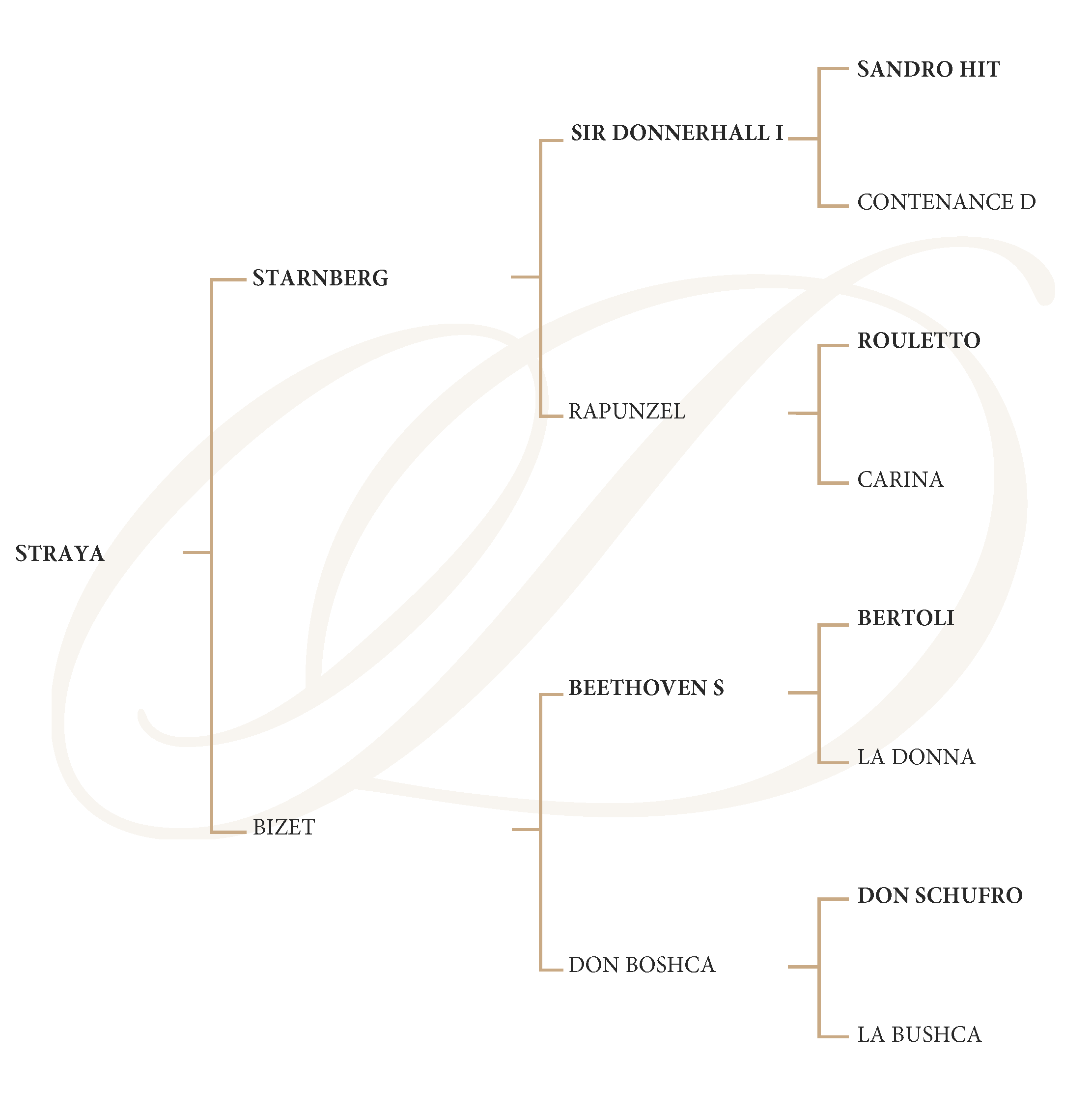 Starnberg Genealogy