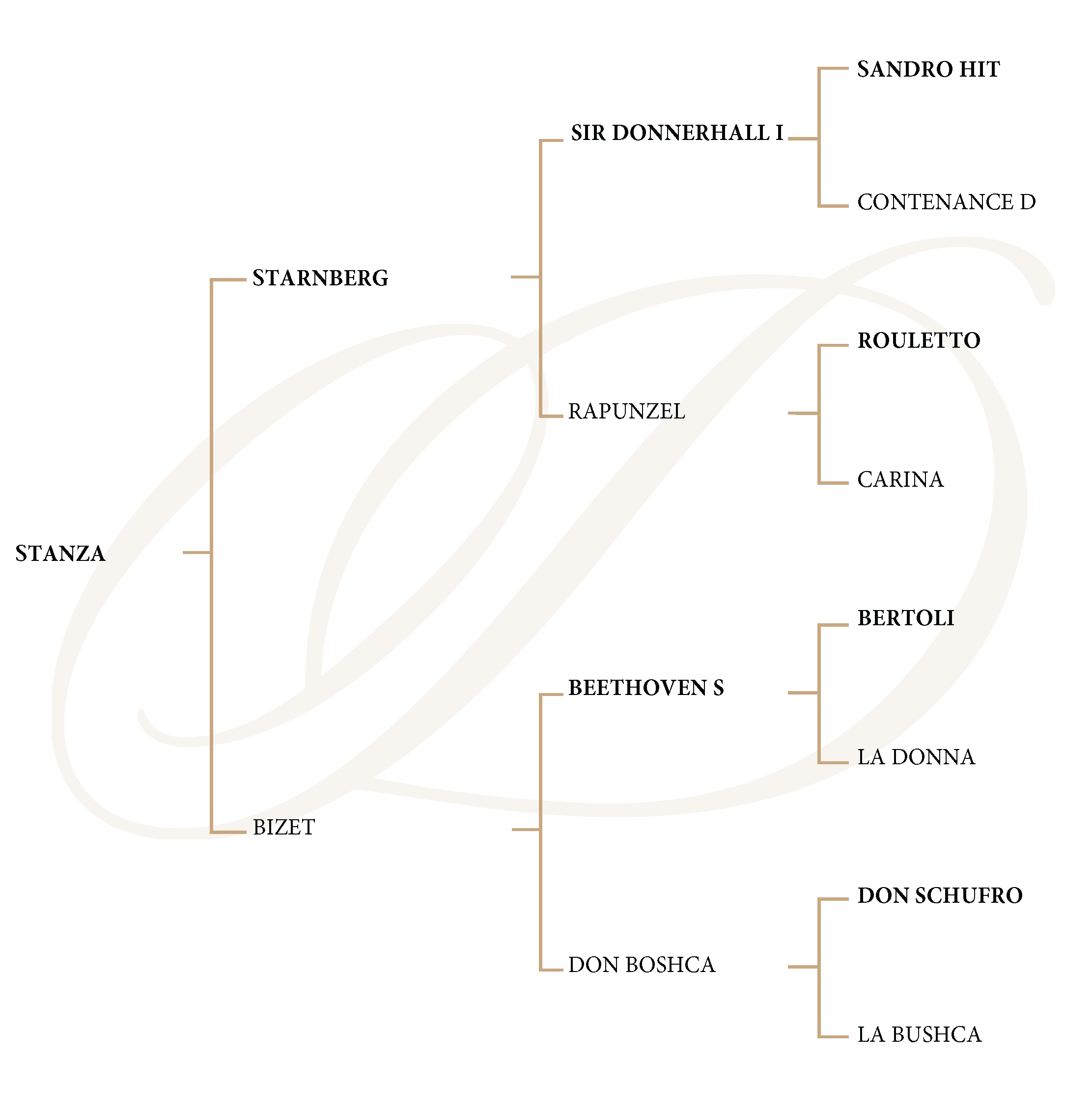 Starnberg Genealogy