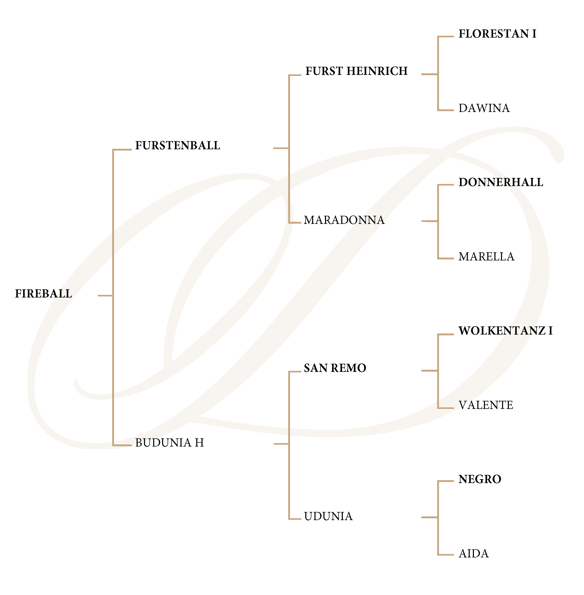 Starnberg Genealogy